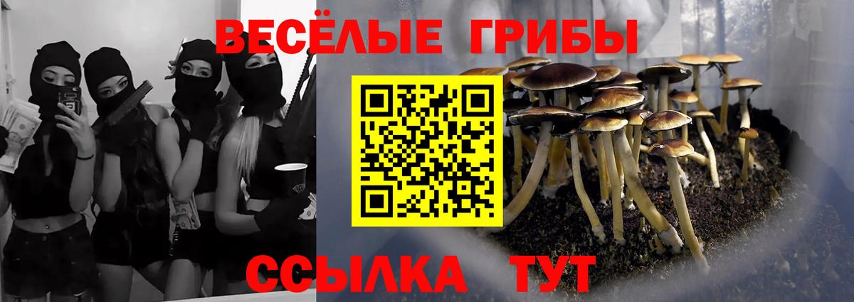 Псилоцибиновые грибы ЛСД Вичуга